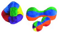 Multicolor dumbbells