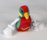 Parrot