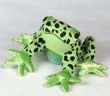 Green Frog